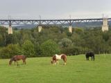 kw_aachen_005