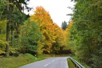 Herrliche Herbststimmung im Taunus.