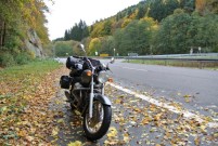 Herrliche Herbststimmung im Taunus.