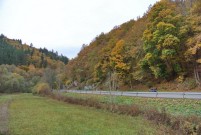 Herrliche Herbststimmung im Taunus.