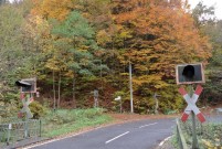 Herrliche Herbststimmung im Taunus.