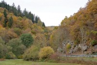 Herrliche Herbststimmung im Taunus.